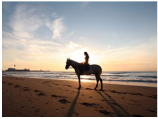 Argentina a cavallo